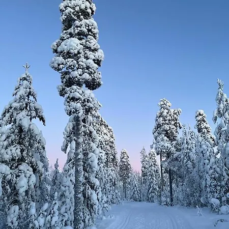Arctic Cozy Home רובניימי