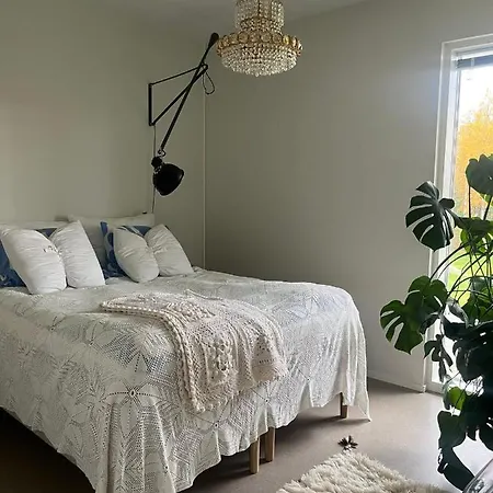 Arctic Cozy Home