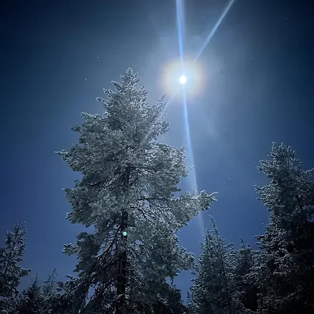 Arctic Cozy Διαμέρισμα