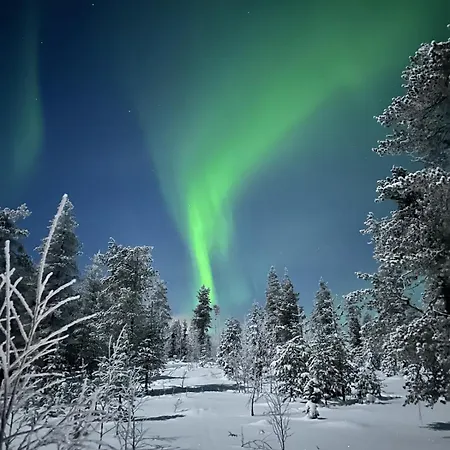 Arctic Cozy *