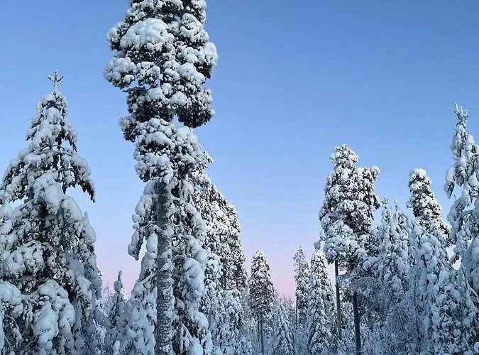 North Star Рованиеми